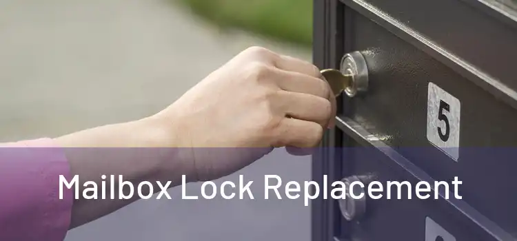 Mailbox Lock Replacement